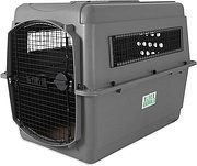 Kennel